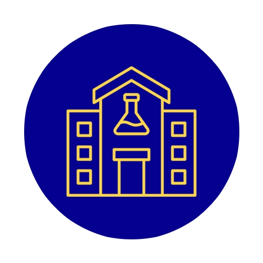 Advanced Labs Guided Mentorship